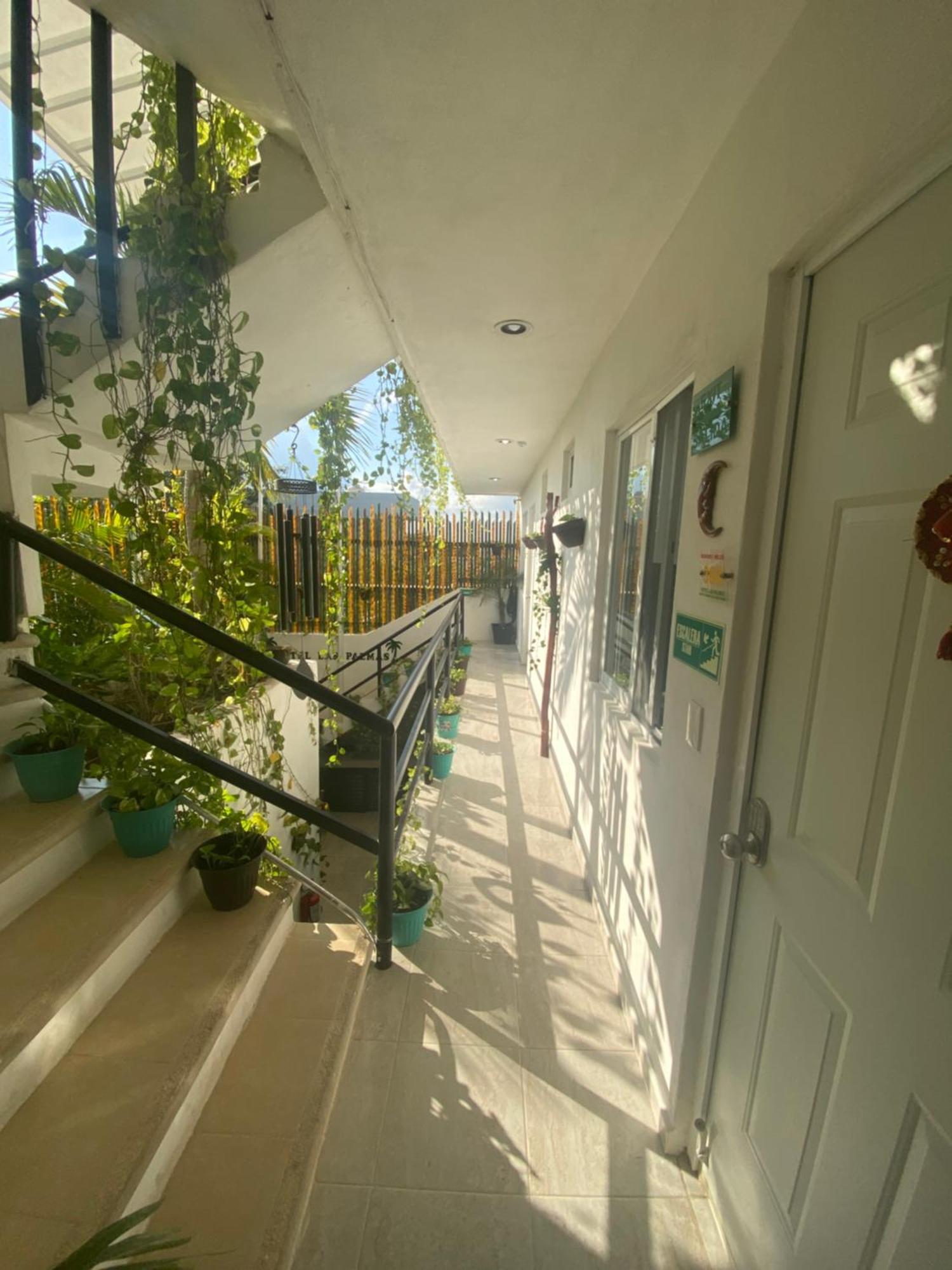 LUX Studio ROOM LAS PALMAS PUERTO MORELOS Exterior foto
